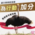 大欣生技-鴕鳥龜鹿膠囊